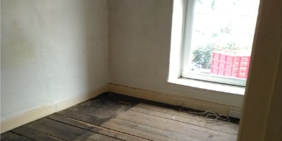 mountain-ash-before-and-after-2017-36808F87BF-4460-27D8-DD86-15C1AB757A09.jpg