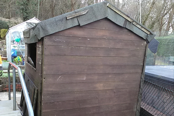 shed-removal-beforeC1B2DD3F-0341-ACF6-DDAE-9B8E2E8F8823.jpg