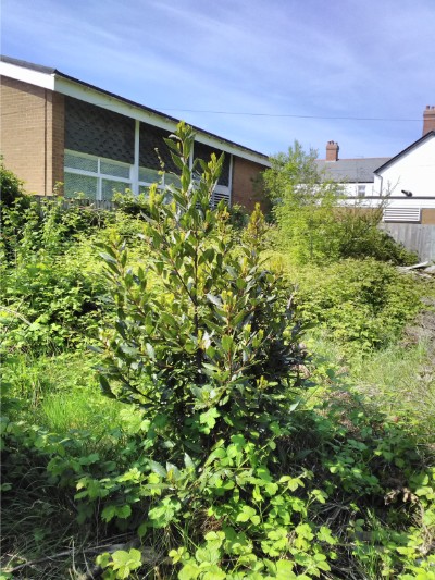 beforeafter radyr 1