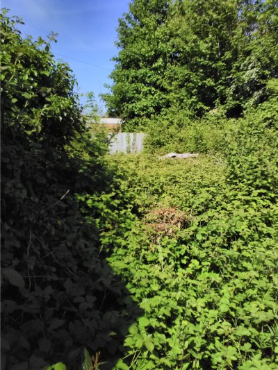 beforeafter radyr 3