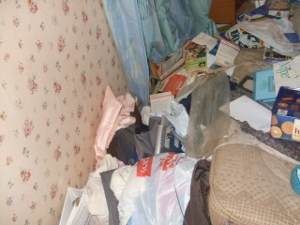 East Aberthaw Waste Clearnace 2