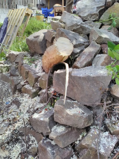pencoed waste clearance 6